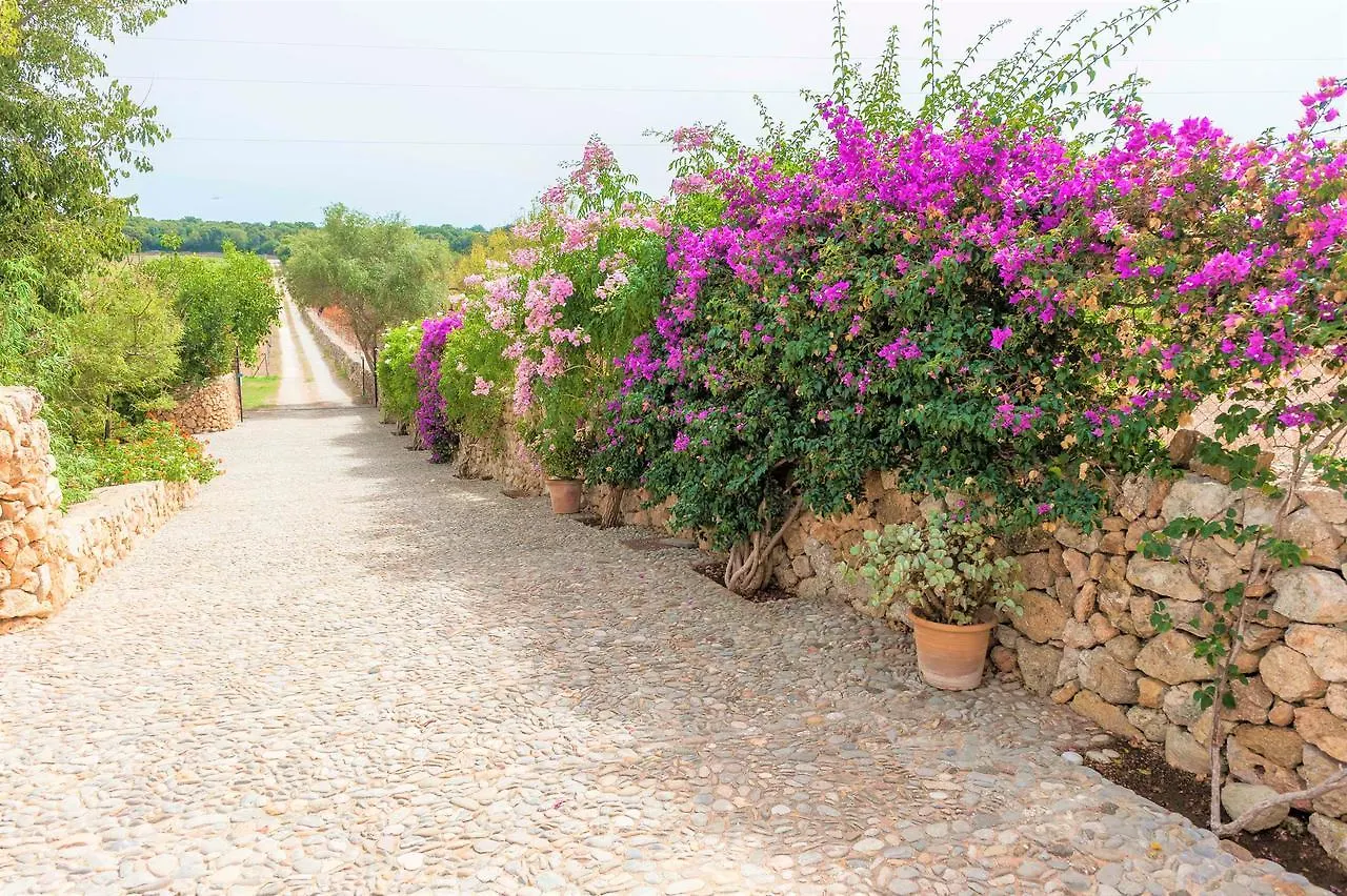 Villa Sa Mata Grossa Spain